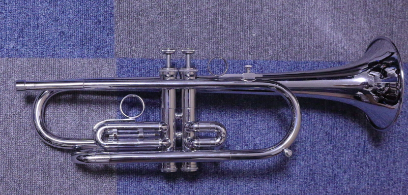 Bugle001.JPG