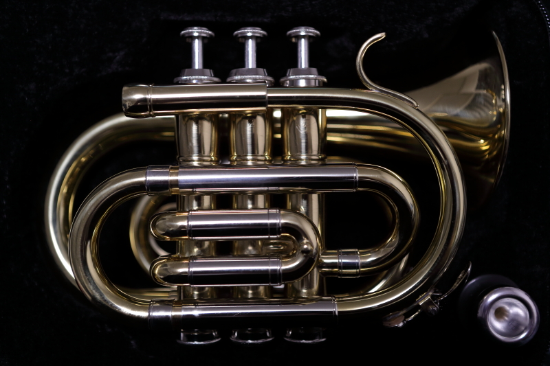 pocketTrumpet001.JPG